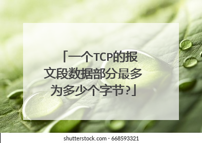 一个TCP的报文段数据部分最多为多少个字节?
