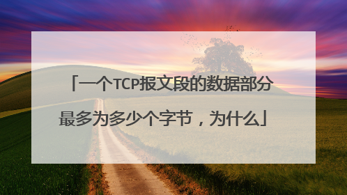 一个TCP报文段的数据部分最多为多少个字节,为什么