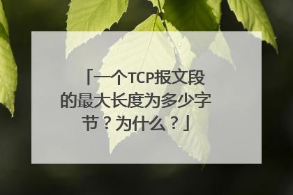 一个TCP报文段的最大长度为多少字节？为什么？