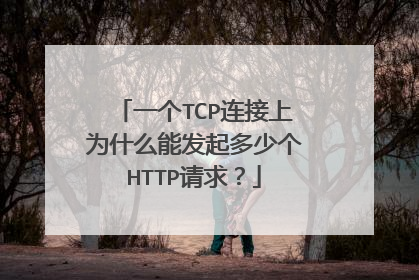 一个TCP连接上为什么能发起多少个HTTP请求？