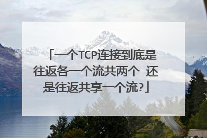 一个TCP连接到底是往返各一个流共两个 还是往返共享一个流?