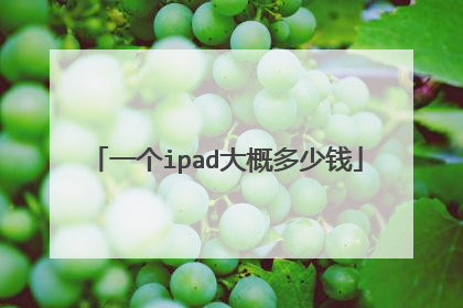 一个ipad大概多少钱