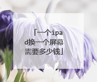 一个ipad换一个屏幕需要多少钱