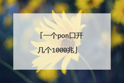 一个pon口开几个1000兆