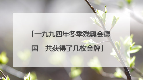 一九九四年冬季残奥会德国一共获得了几枚金牌