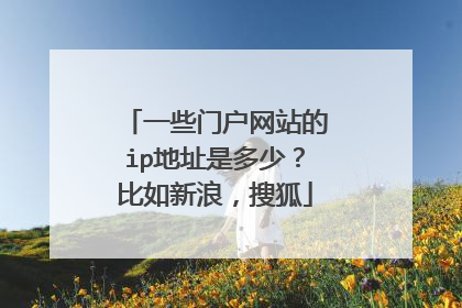 一些门户网站的ip地址是多少?比如新浪,搜狐