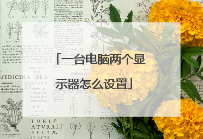 一台电脑两个显示器怎么设置