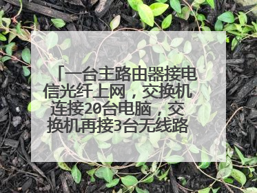 一台主路由器接电信光纤上网,交换机连接20台电脑,交换机再接3台无线路由器,怎么设置?高手进!