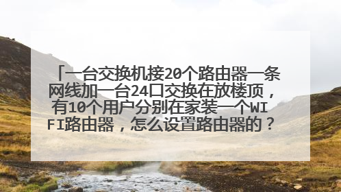 一台交换机接20个路由器一条网线加一台24口交换在放楼顶,有10个用户分别在家装一个WIFI路由器,怎么设置路由器的?才不会出现IP地址冲突。