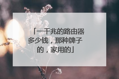 一千兆的路由器多少钱，那种牌子的，家用的