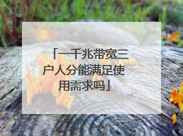 一千兆带宽三户人分能满足使用需求吗