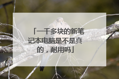 一千多块的新笔记本电脑是不是真的，耐用吗