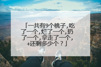 一共有9个桃子,吃了一个,烂了一个,扔了一个,拿走了一个,+还剩多少个？