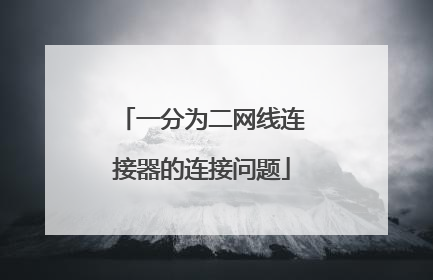 一分为二网线连接器的连接问题