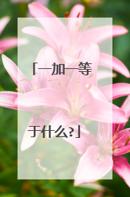 一加一等于什么?