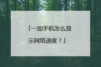 一加手机怎么显示网络速度？
