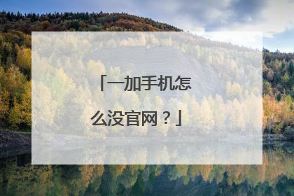 一加手机怎么没官网？