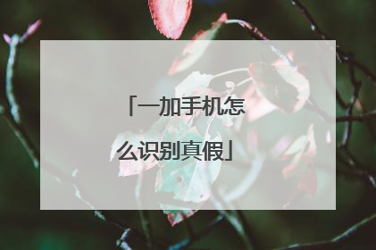 一加手机怎么识别真假