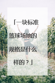 一块标准篮球场地的规格是什么样的？
