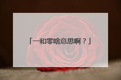 一和零啥意思啊？