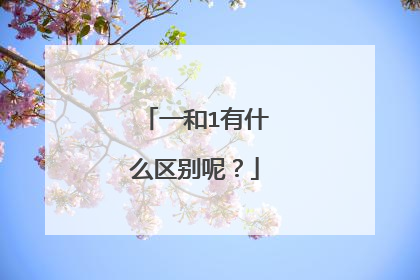 一和1有什么区别呢?