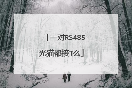 一对RS485光猫都接T么