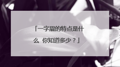 一字眉的特点是什么 你知道多少？