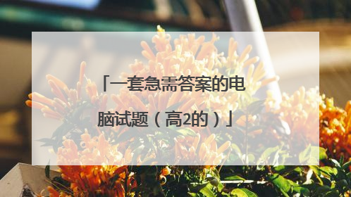 一套急需答案的电脑试题（高2的）