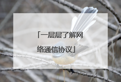 一层层了解网络通信协议