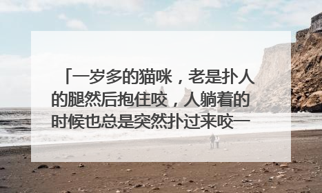 一岁多的猫咪,老是扑人的腿然后抱住咬,人躺着的时候也总是突然扑过来咬一口再跑开,怎么教育?