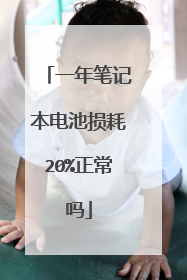 一年笔记本电池损耗20%正常吗