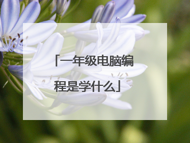 一年级电脑编程是学什么