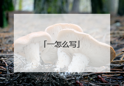 一怎么写