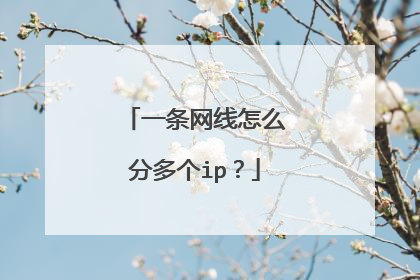 一条网线怎么分多个ip?