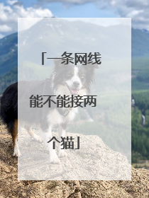 一条网线能不能接两个猫