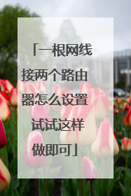 一根网线接两个路由器怎么设置 试试这样做即可
