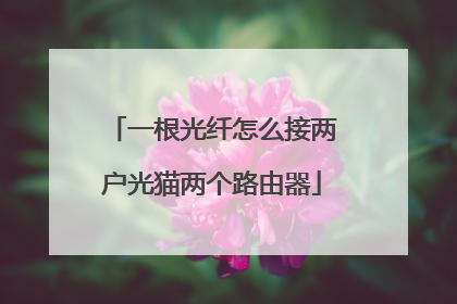 一根光纤怎么接两户光猫两个路由器