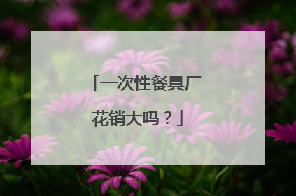 一次性餐具厂花销大吗？