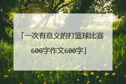 一次有意义的打篮球比赛600字作文600字