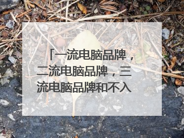 一流电脑品牌,二流电脑品牌,三流电脑品牌和不入流的有哪些