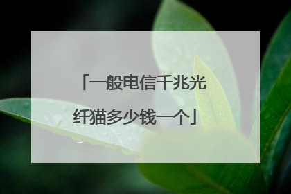 一般电信千兆光纤猫多少钱一个
