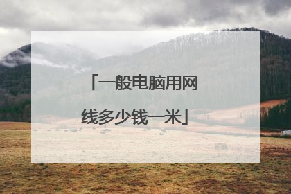 一般电脑用网线多少钱一米