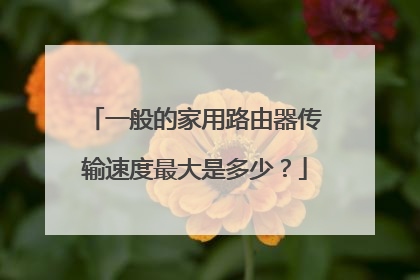 一般的家用路由器传输速度最大是多少？