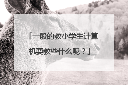 一般的教小学生计算机要教些什么呢?
