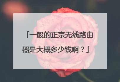一般的正宗无线路由器是大概多少钱啊？