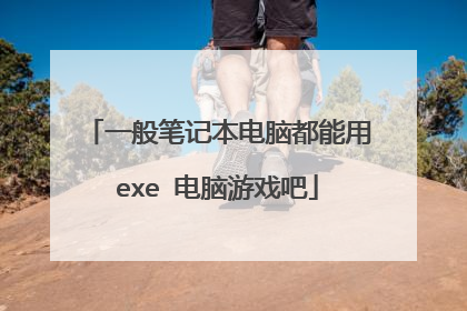 一般笔记本电脑都能用exe 电脑游戏吧