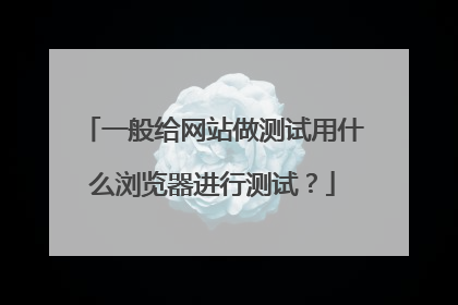 一般给网站做测试用什么浏览器进行测试?