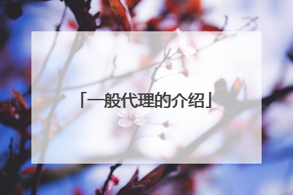 一般代理的介绍