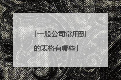 一般公司常用到的表格有哪些