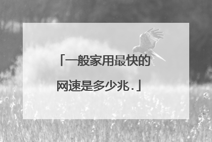 一般家用最快的网速是多少兆.